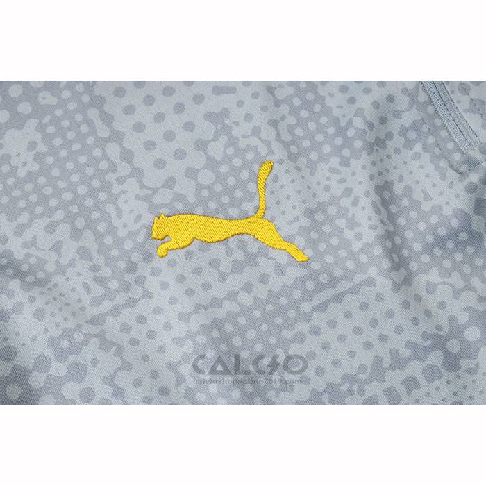 Tuta da Track di Felpa Borussia Dortmund 2025-2026 Grigio